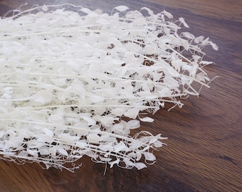 White  preserved flowers, dried flowers, lunaria branches,  lunaria stems, silver dollar