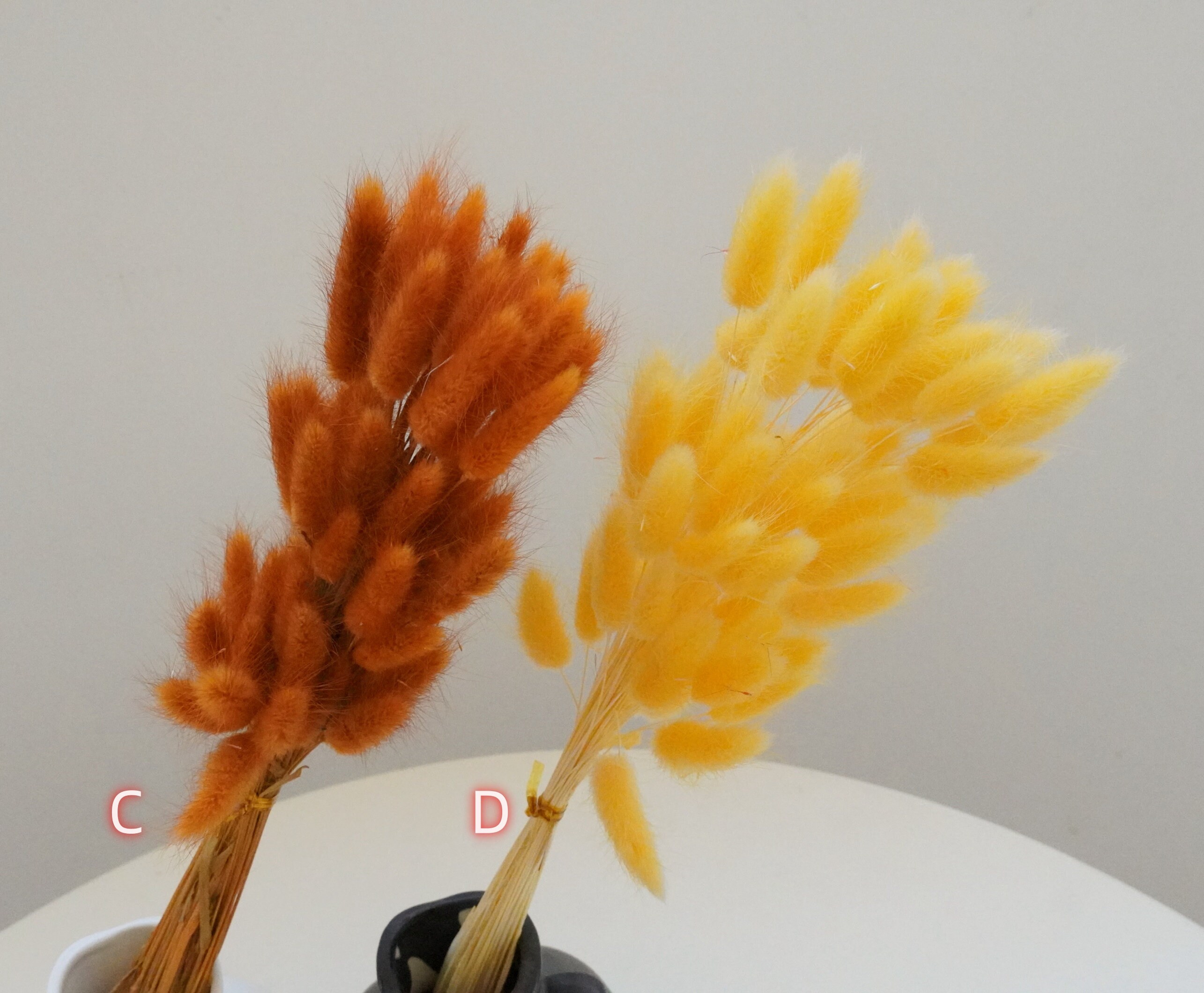 Rabbit Tail Dried Flower, Mini Rabbit Tail, Home Dried Flower ...