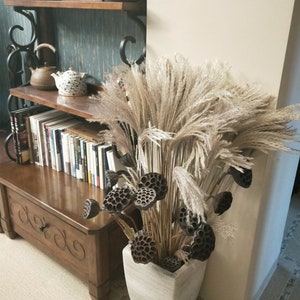 100 stems Natural Dried Pampas Grass Phragmites Communis Reed Flower Bouquet Plant Wedding Flower Bunch for Home Decorations 23'' L image 9