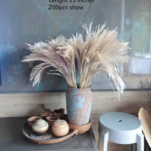 100 stems Natural Dried Pampas Grass Phragmites Communis Reed Flower Bouquet Plant Wedding Flower Bunch for Home Decorations 23'' L image 3