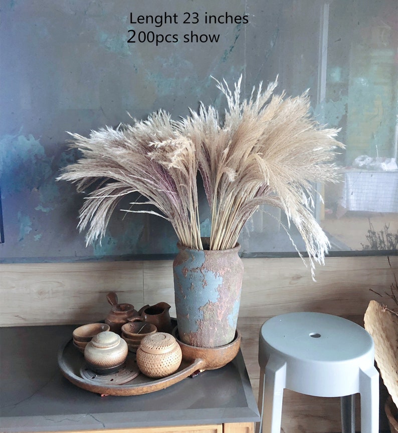 100 stems Natural Dried Pampas Grass Phragmites Communis Reed Flower Bouquet Plant Wedding Flower Bunch for Home Decorations 23'' L image 3