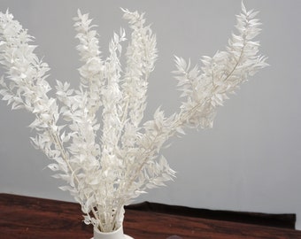 3 Bleached White Italian Ruscus Stems, Preserved Boho Decor