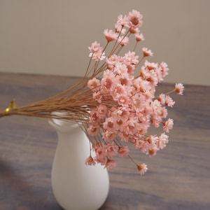 Flores de estrella, flor de flor de estrella en rosa, flores secas, flores de estrella naturales, flor de mini estrella gixa, flores de boda pink