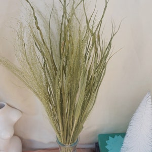 Könnte beinhalten: Ein Strauß getrocknetes Ziergras in einer durchsichtigen Glasvase. Das Gras hat eine hellgrüne Farbe mit zarten Samenköpfen. Die Vase steht auf einem Tisch mit einem Buch und einem kleinen weißen Dekobaum.