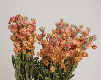 Natural scented dried flowers for home wedding decoration, DIY dry flower elements bouquets, floral designers