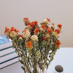 Fleurs d&#39;ananas séchées orange naturelles, décoration d&#39;arrangement floral pour mariage à la maison, bouquet DIY, design floral