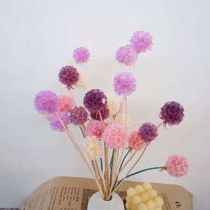 10 Heade väderkvarnsfrukt, naturliga torkade blommor, blushblommor, heminredning, naturligt hem, blomsterarrangemang, bröllopsblommor, blommor