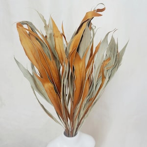 Dried magnolia leaves Natural - Wedding Decor - Rustic Bouquets - Wreaths - Floral Arrangement
