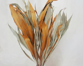 Dried magnolia leaves Natural - Wedding Decor - Rustic Bouquets - Wreaths - Floral Arrangement