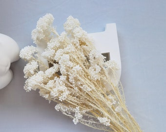 Natural Bleached Rice Flower DIY Bouquet Home Decor Boho Interior Design Home Wedding Decor