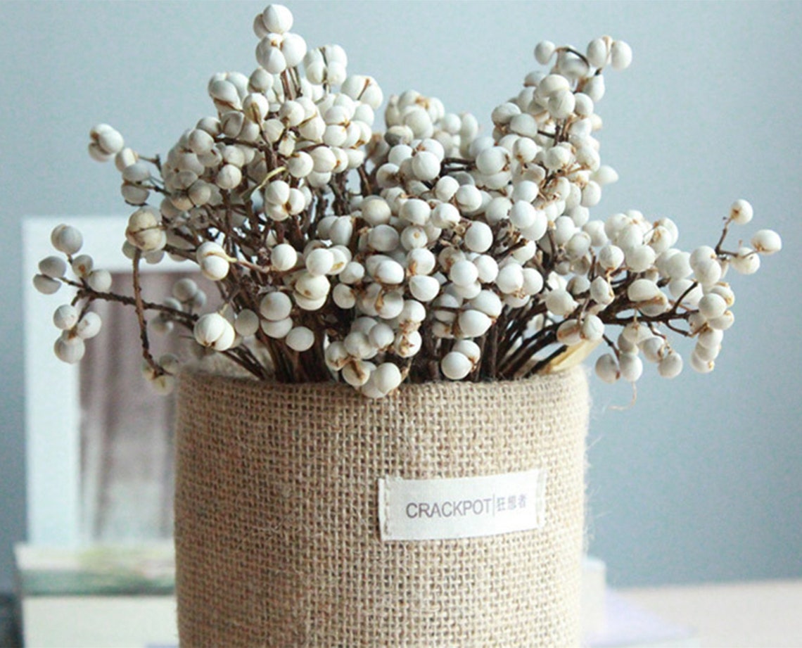 20 Stems Dried Natural Tallow Berries/6''10'' Etsy