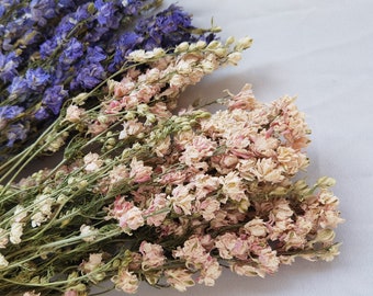 Fleurs de pensée violettes roses séchées naturelles, décoration d'arrangement de fleurs de mariage à la maison, bouquet d'éléments de fleurs séchées bricolage, designer floral