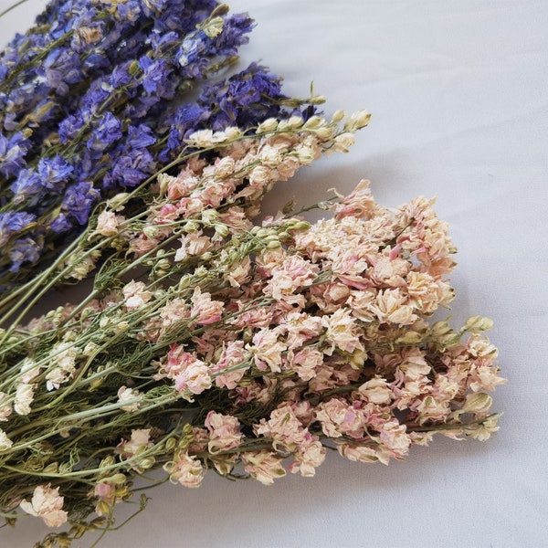Fleurs de pensée violettes roses séchées naturelles, décoration d'arrangement de fleurs de mariage à la maison, bouquet d'éléments de fleurs séchées bricolage, designer floral