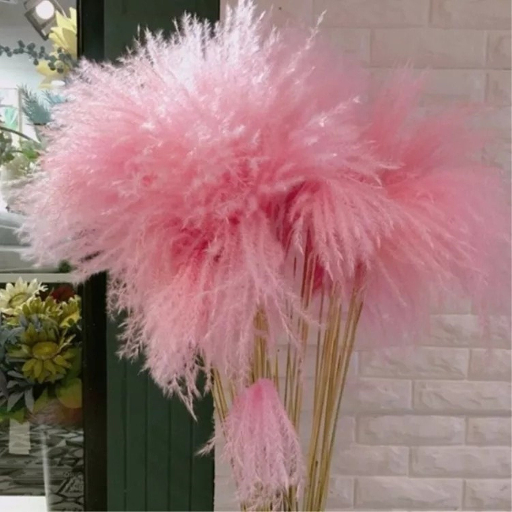 50x Dried Plant Pampas Grass Natural Phragmites Communis Bunch Flowers Y7O8 50x Dried Plant Pampas Grass Natural Phragmites Communis Bunch Flowers Y7O8