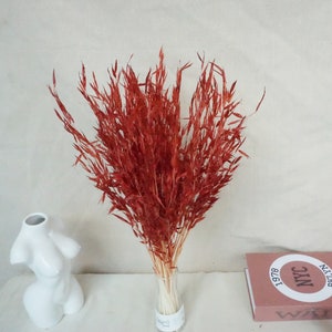 About 50 stems burnt orange oats ，dry oats/oat flower stems, home decorations, wedding decorations | DIY dry flower arrangements