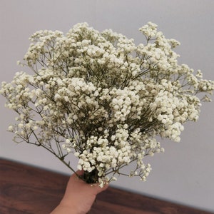 Artificial Baby's Breath, Babys Breath, Fake Babys Breath, DIY Wedding  Bouquetes, Babys Breath Bundle, Artificial Flowers, Fake Flowers 