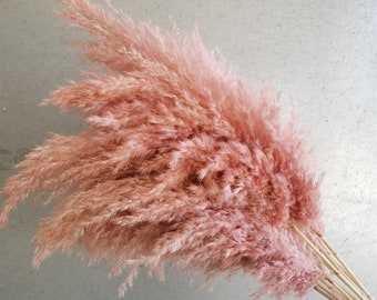 Natuurlijke droge poeder blusher pampas gras, Boho stijl, bruiloft, home decoratie 23/31"