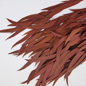 Fleurs stabilisées, feuilles d&#39;oranger, mariage, événement, bouquet DIY, décoration de bureau pour anniversaires de maison