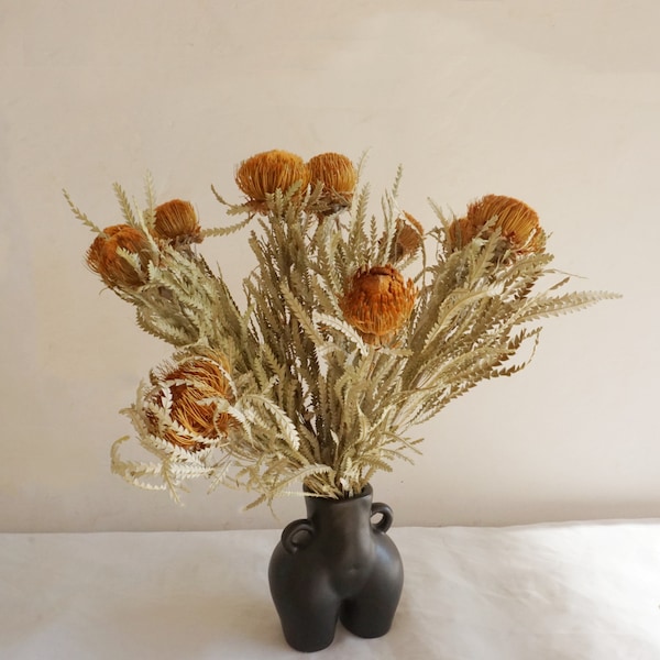 Autumn Leucospermum nutans ， protea branches， natural protea