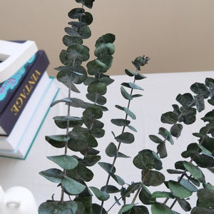 Branches d'eucalyptus stabilisées, composition florale à faire soi-même, décoration d'anniversaire de mariage de famille image 3