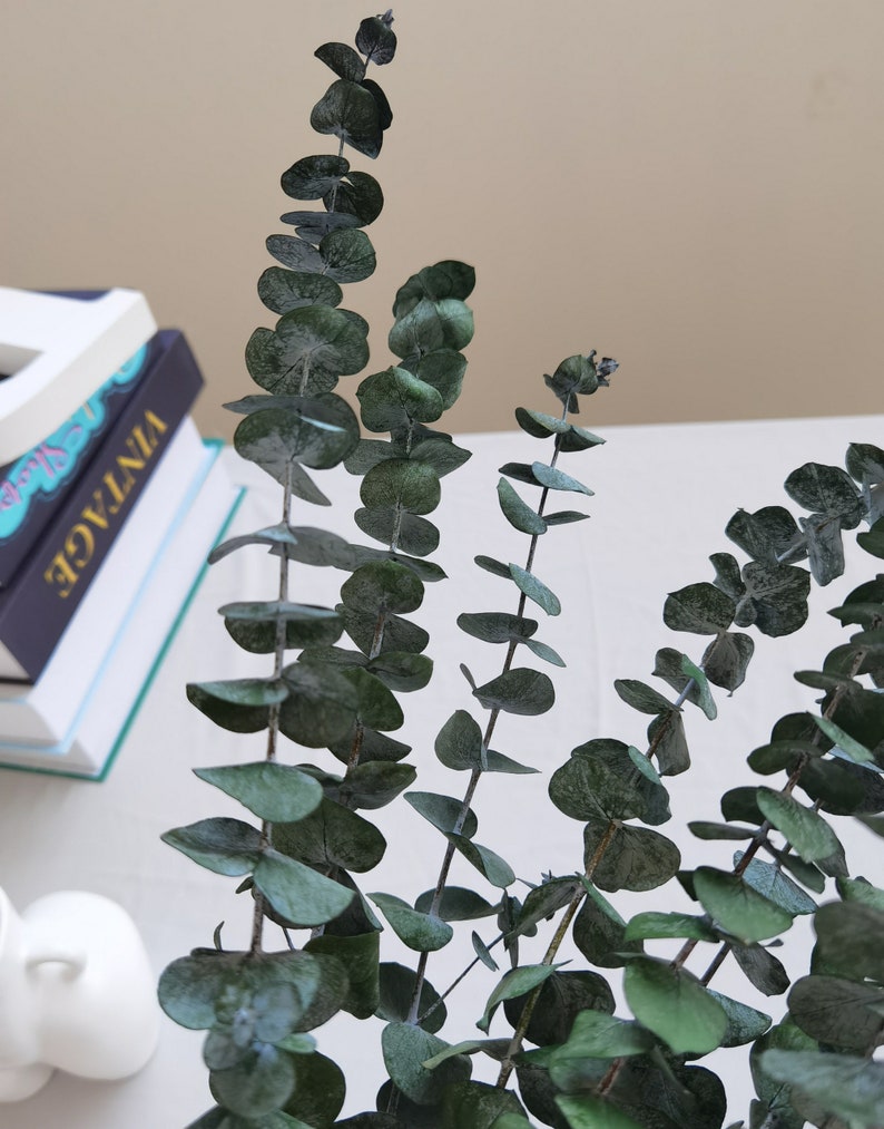 Branches d'eucalyptus stabilisées, composition florale à faire soi-même, décoration d'anniversaire de mariage de famille image 3