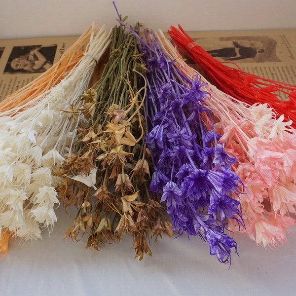 Star anise bleached dried flowers, multicolored star anise, wedding decoration, home decoration, dry flowers, wedding flowers