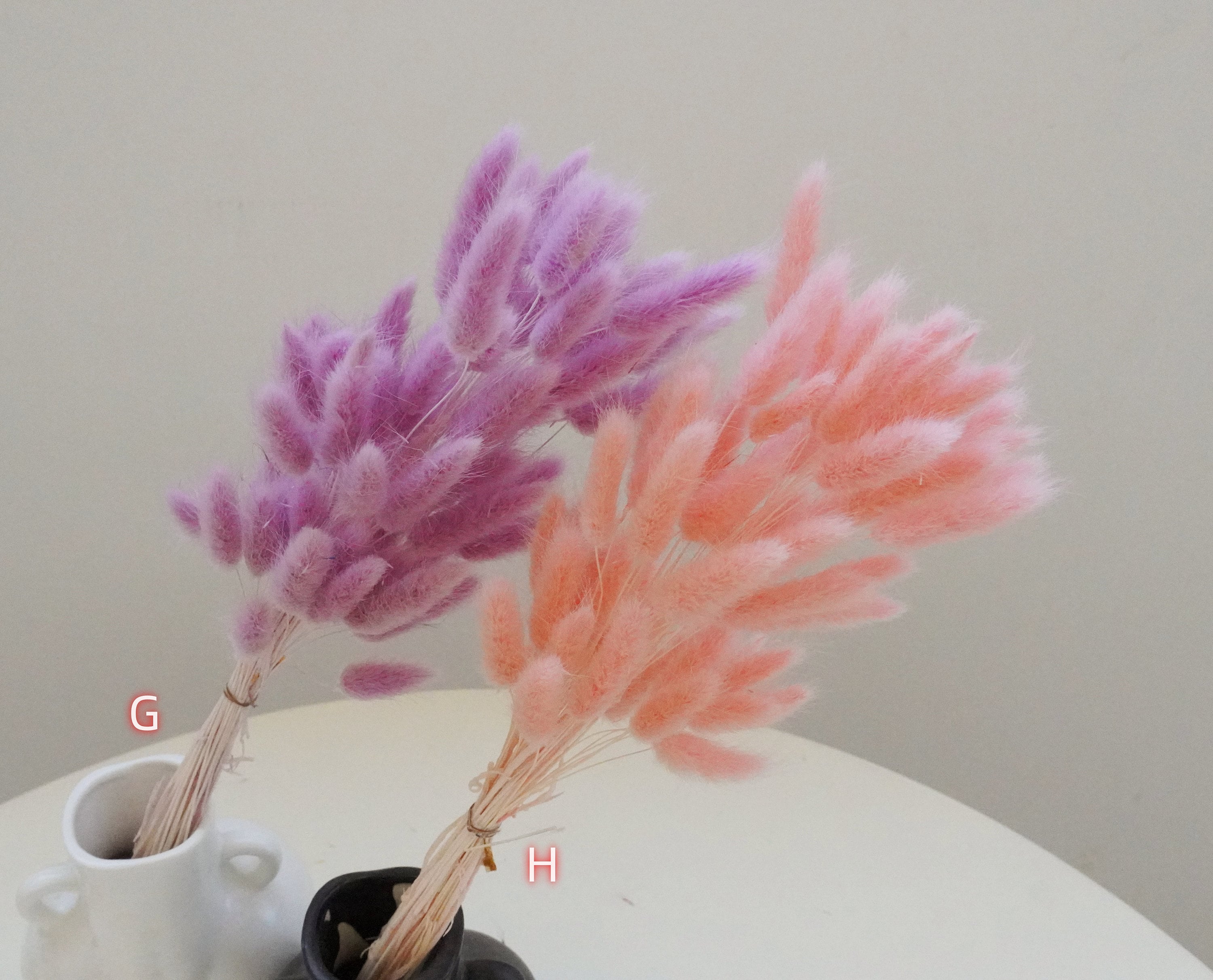 Rabbit Tail Dried Flower, Mini Rabbit Tail, Home Dried Flower ...