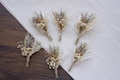 Boho Set Mini Dried Flower Bouquets | Small Bottle Arrangements | Table Decorations | Letter Box Gifts product logo