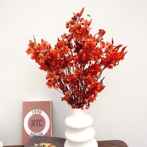 Preserved autumn orange Butterfly bloom, orange flowers, wedding flowers, filler, dried flower filler, White dried flowers