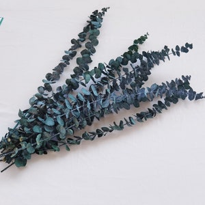 10 Stems High Quality Preserved Blue Eucalyptus, DIY Flower Arrangement, Home Wedding Anniversary Decoration