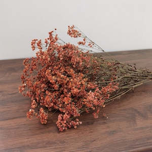 Bulk Natural Preserved Baby's Breath Gypsophila DIY flower element, floral design, wedding home decoration