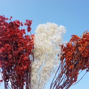 Fleur de papillon orange d&#39;automne préservée, fleurs d&#39;oranger, fleurs de mariage, mastic, mastic de fleurs séchées, fleurs séchées blanches