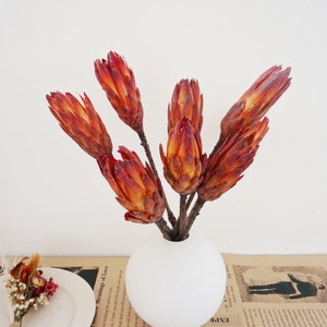 Dried Flowers Protea Repens Cynaroides、Bouquet flower arrangement, Home wedding decoration, DIY flower arrangement