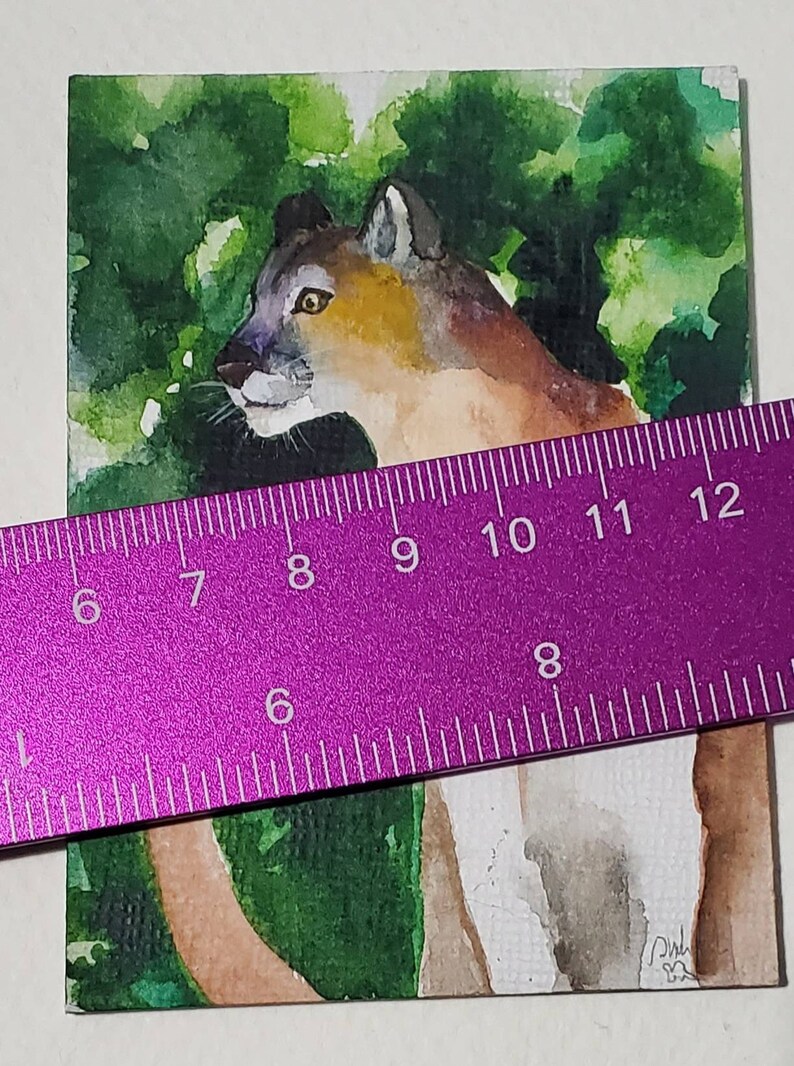 Mountain Lion