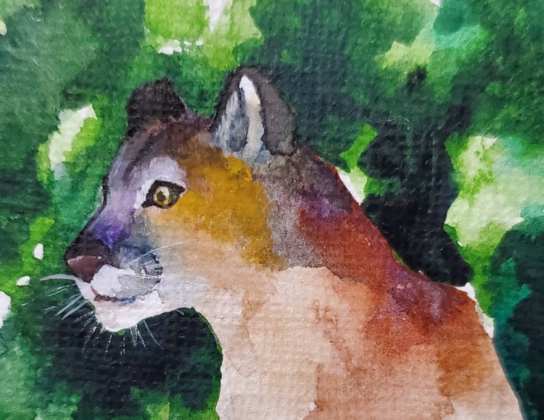 Mountain Lion