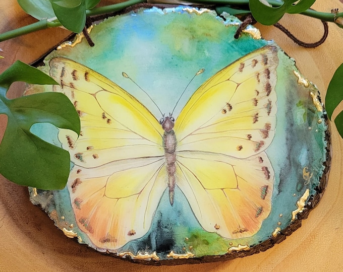 Yellow butterfly