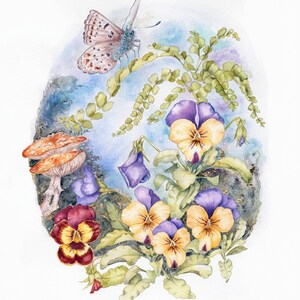 Pansy Mushroom