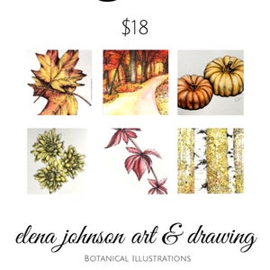 A2 Notecards FALL SET 2019 Set of 6 blank greeting cards with envelopes, autumn themed image 1