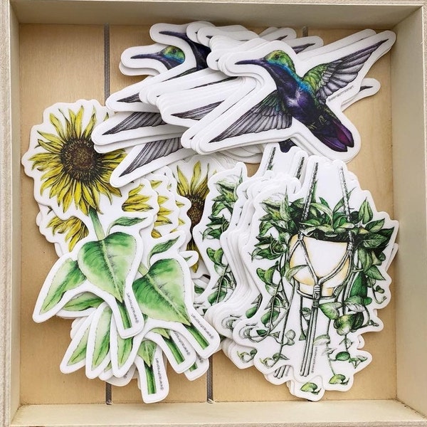 Cute 2.5" Stickers - Hummingbird, Sunflower, Pothos Hanging Plant