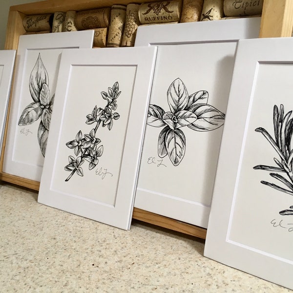 SET OF 5 - Herb Pen & Ink Black and White Botanical Illustration Drawings (5x7 matted prints), Rosemary, Basil, Oregano, Thyme, Parsley