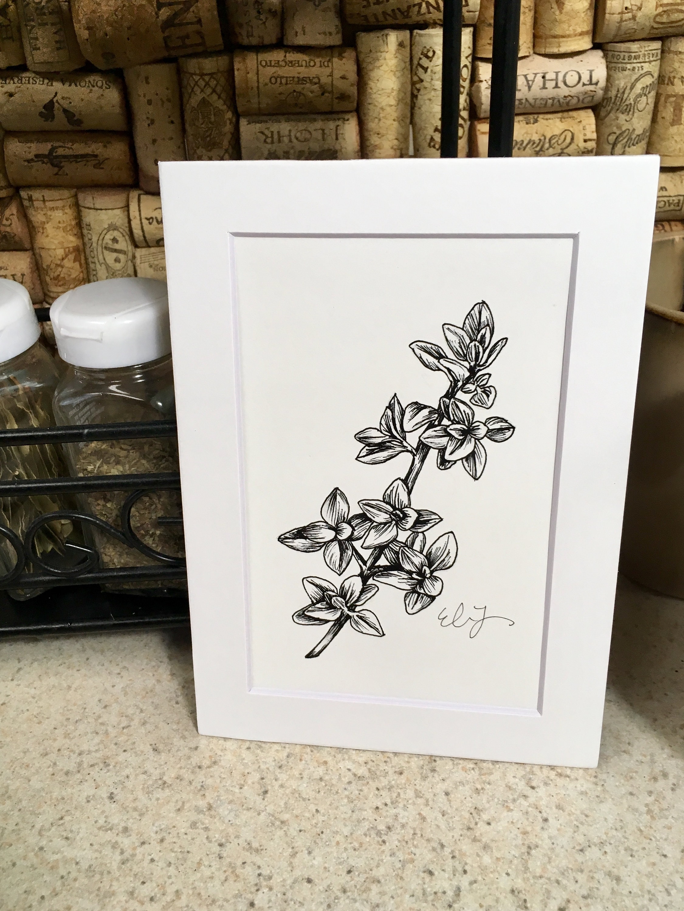 SET OF 5 Herb Pen & Ink Black and White Botanical Etsy