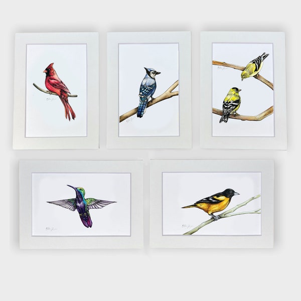 SET OF 3 - Mix and Match North American Bird Illustration Drawings (5x7 matted prints)