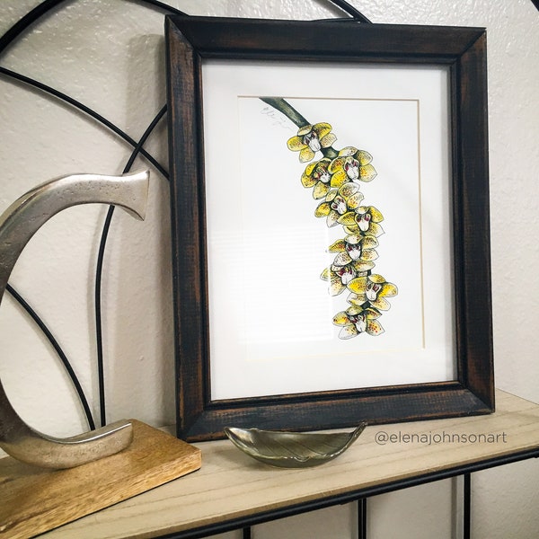 Yellow Hanging Orchid Flower Water Color & Ink Floral Botanical Illustration Drawing (8x10 MATTED or FRAMED PRINT)