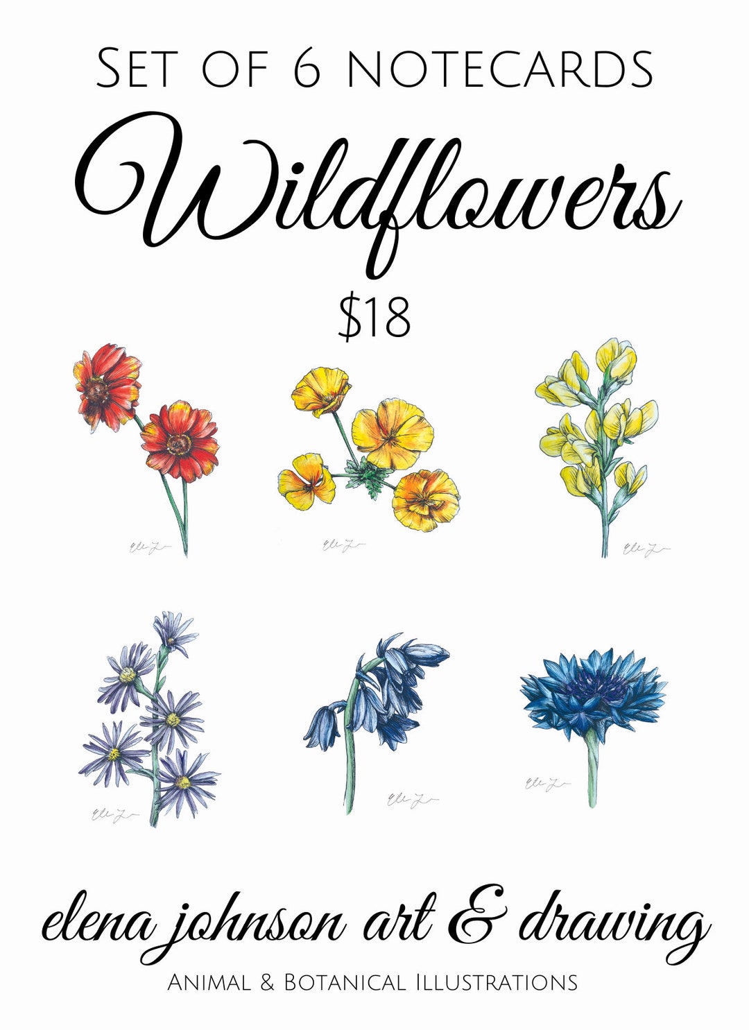 A2 Notecards WILDFLOWER - Set of 6 Greeting Cards & Envelopes - Etsy