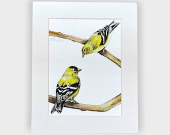 Golden Finches Bird Watercolor Painting with Ink Drawing (8x10 PRINTS)