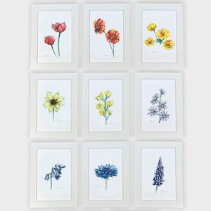 5x7 Wildflower matted prints, mix and match single 1 or set of 3, set of 5, or set of 9