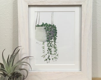 String of Pearls Succulent Hanging Plant Watercolor Painting with Pen and Ink, Botanical Illustration Print, 8x10 or 16x10 matted or framed