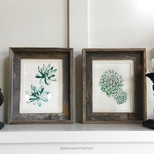 SET of 2 - Echeveria Elegans and Pachyveria Succulent Plants Water Color & Ink Botanical Illustration Drawings (MATTED PRINTS)