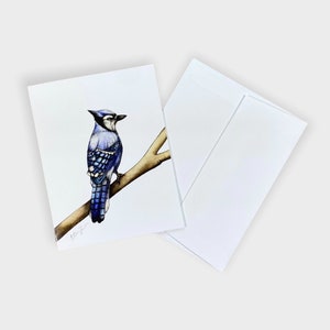 Bluejay North American Bird A2 Individual Notecard, Blank Greeting Card, 4.25&quot;x5.5&quot; folded