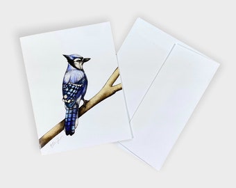 Bluejay North American Bird A2 Individual Notecard, Blank Greeting Card, 4.25"x5.5" folded